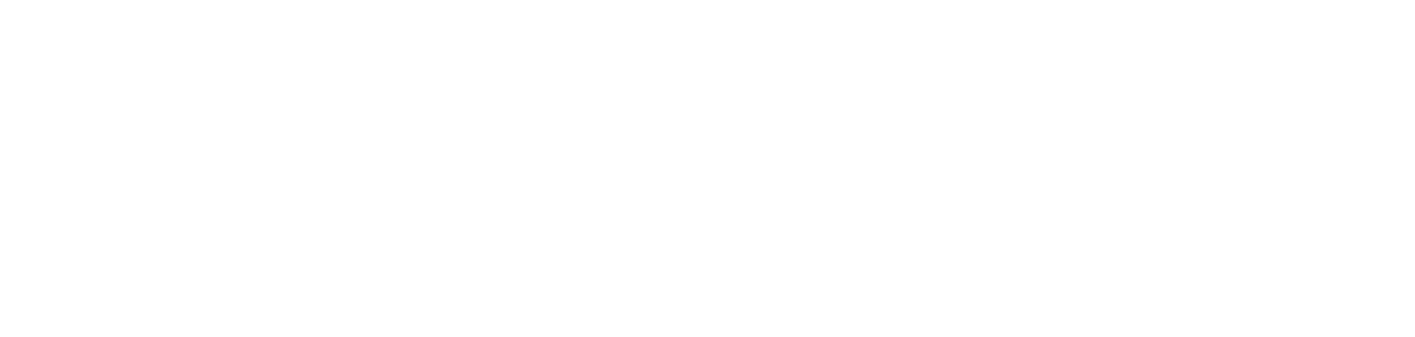 Morphomar Website Logo-01-01-3-01